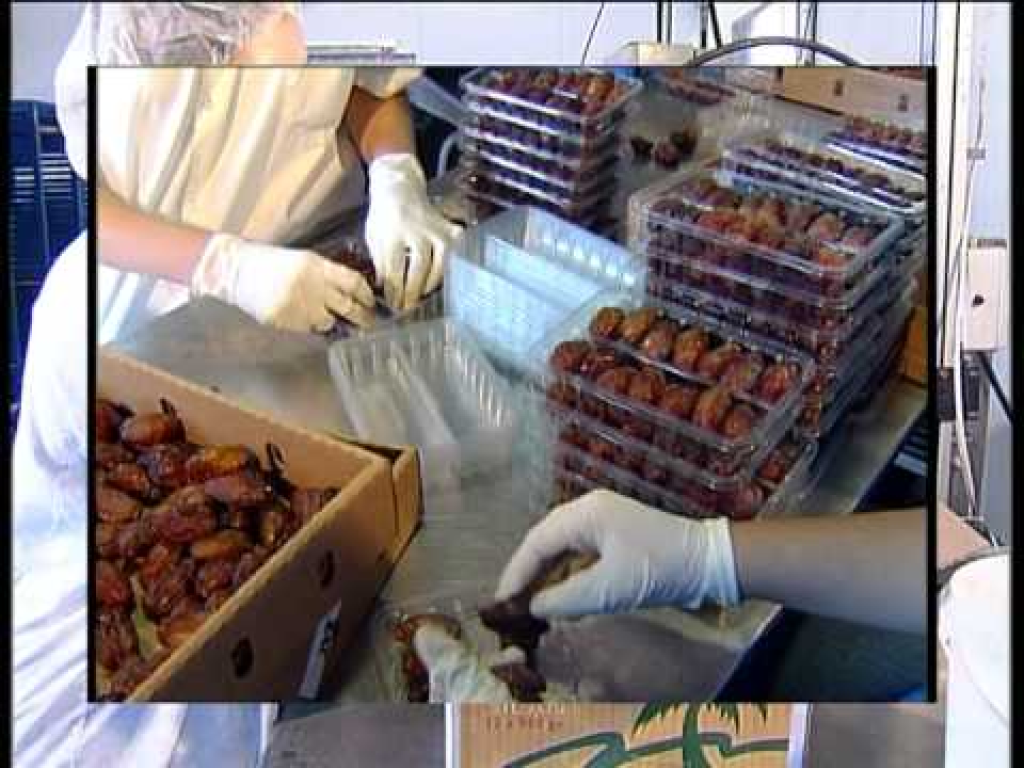 תמר בכפר תמר בכפר