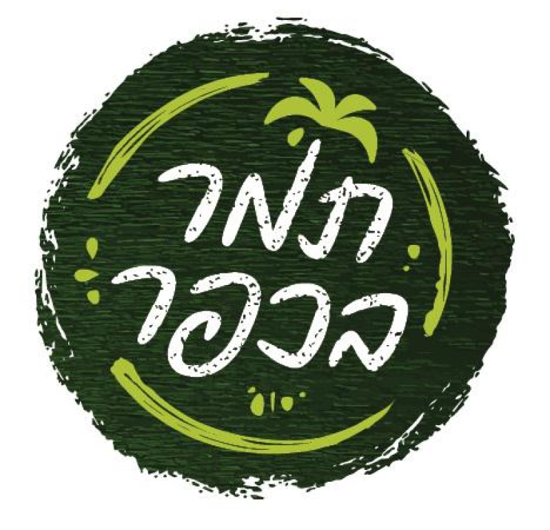 תמר בכפר תמר בכפר