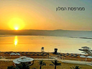 הרודס