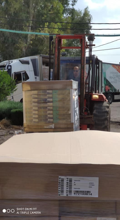 תמרים פלוס תמרים פלוס