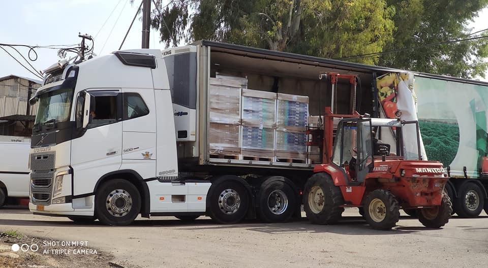 תמרים פלוס תמרים פלוס