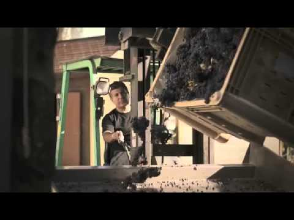 יקב בזלת הגולן יקב בזלת הגולן