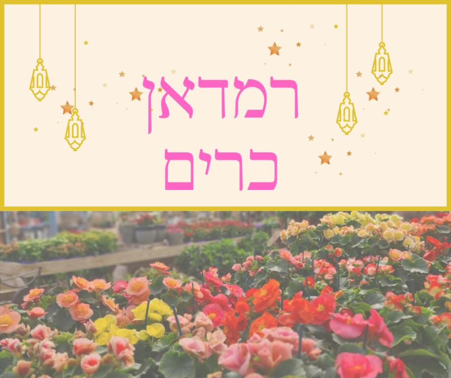 שתילי הר שתילי הר