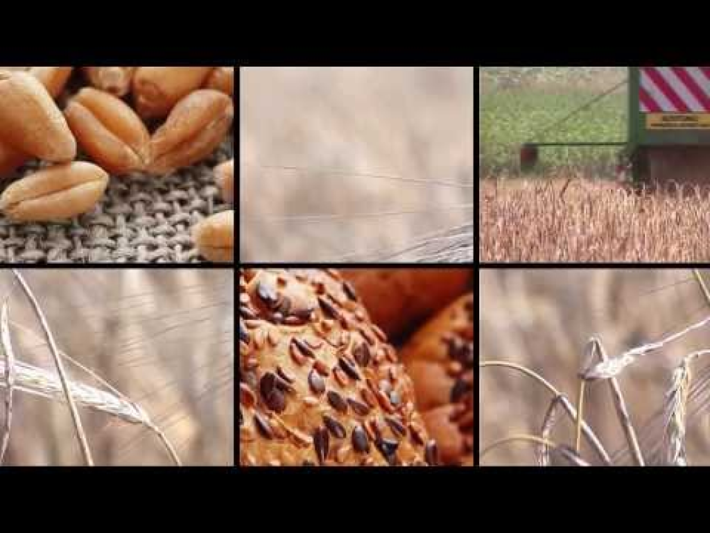 חנות המפעל בית אל חנות המפעל בית אל