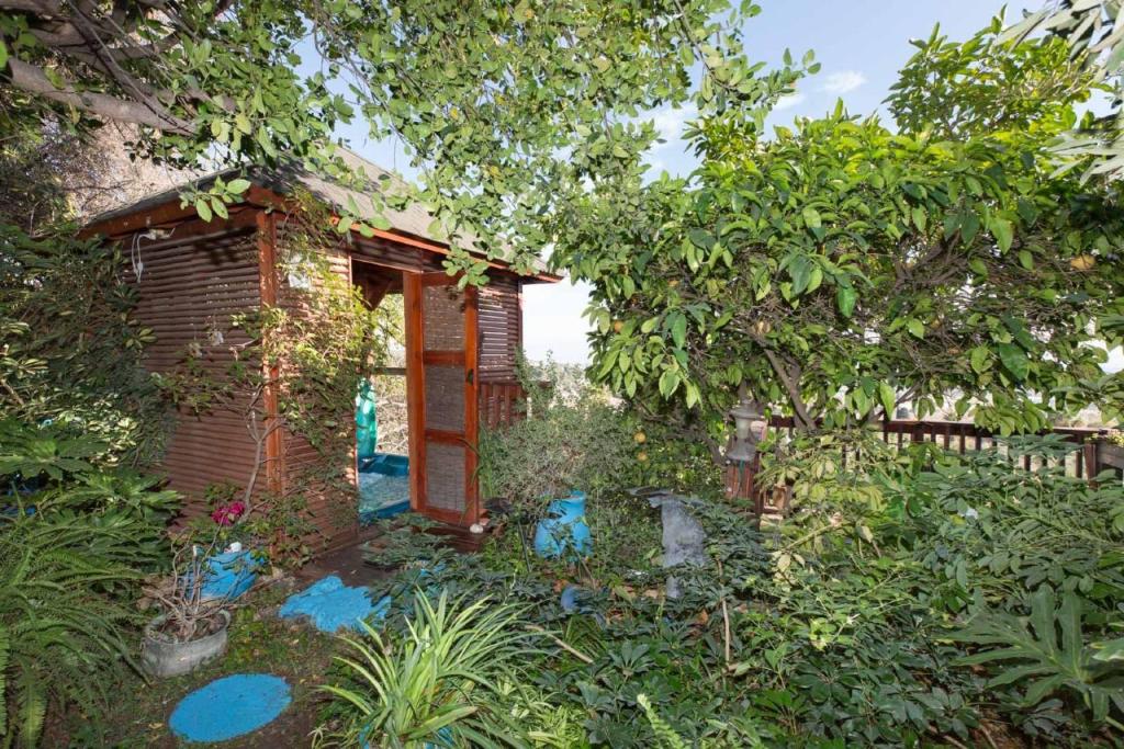 חוויה בנוף חוויה בנוף