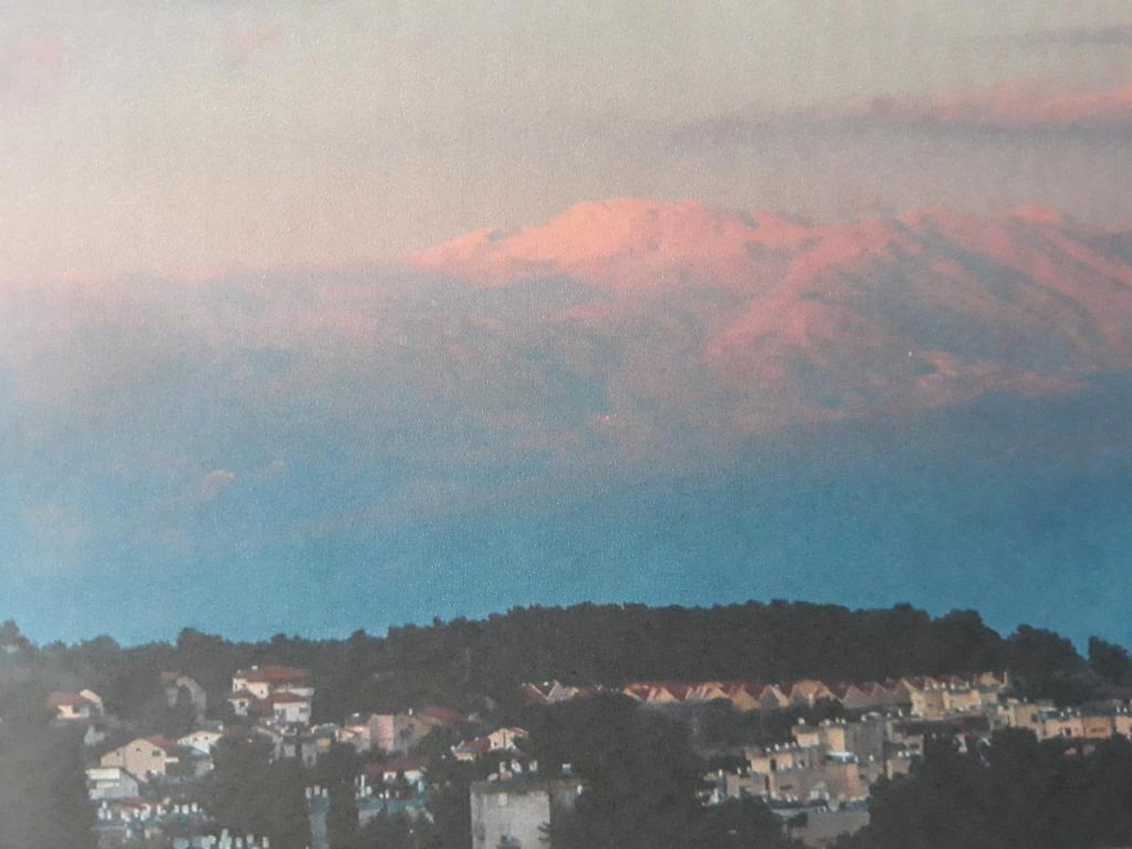 חוויה בנוף חוויה בנוף