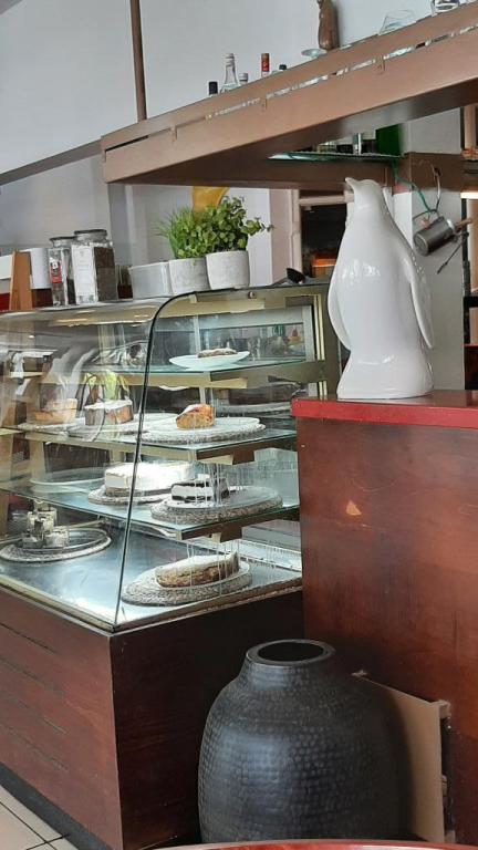 פינגוין פינגוין