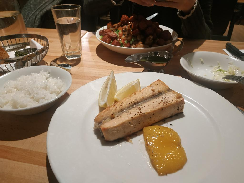 פינגוין פינגוין