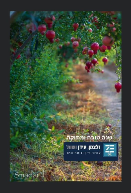 זלצמן דברת זלצמן דברת