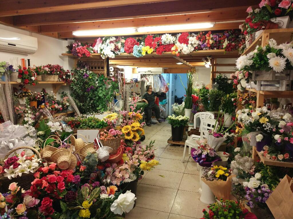 פרחי ניצן פרחי ניצן