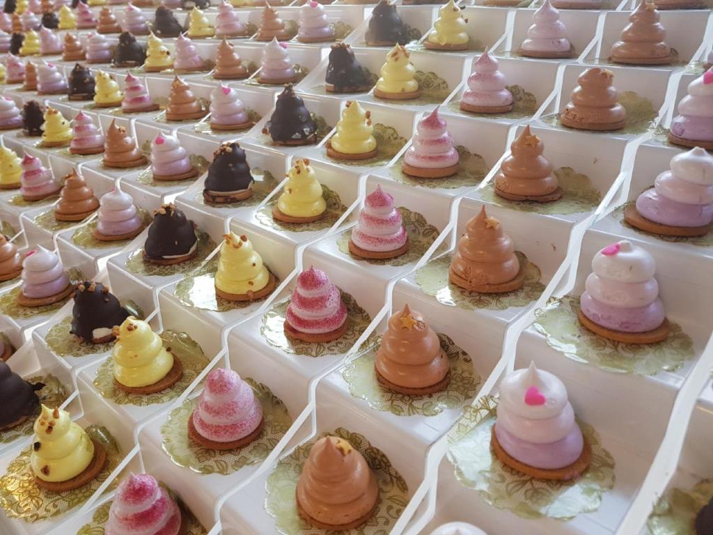 שוגר ראש שוגר ראש