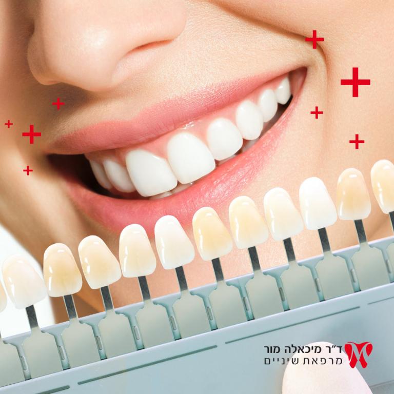 ד"ר מור מיכאלה ד"ר מור מיכאלה