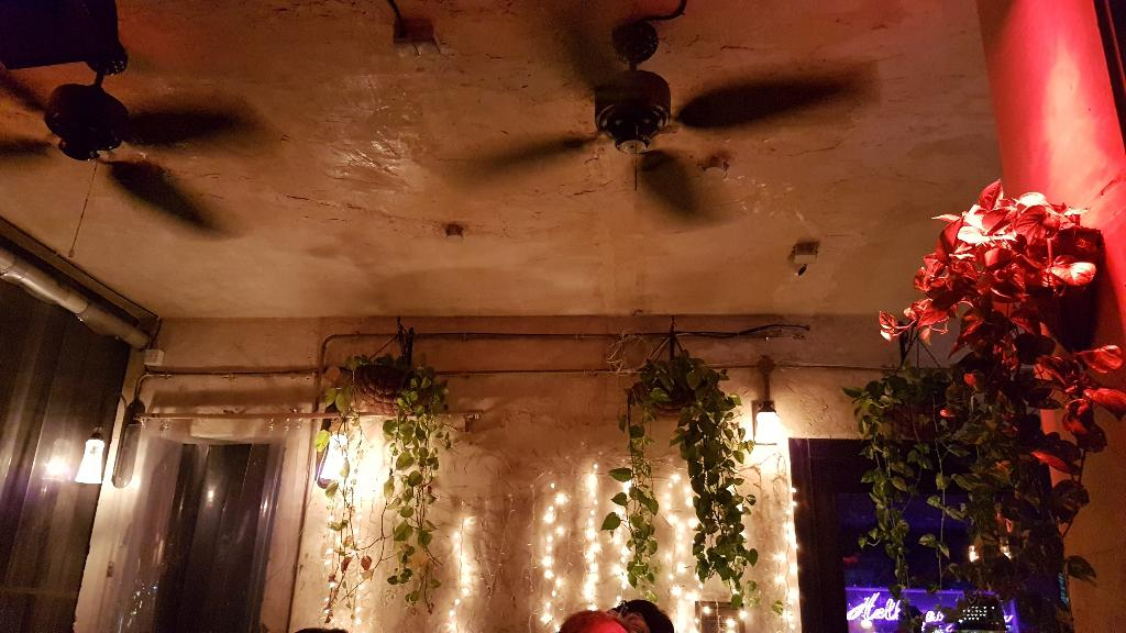 רובינא רובינא