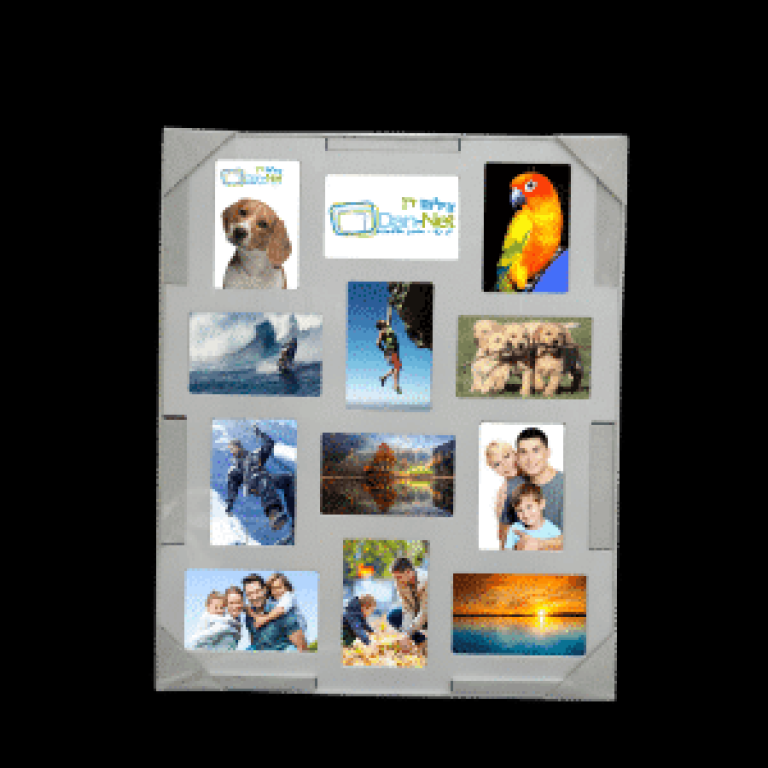 צילום דן הדפסת תמונות צילום דן הדפסת תמונות