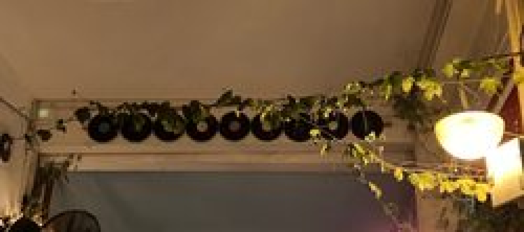 לילי רוז לילי רוז