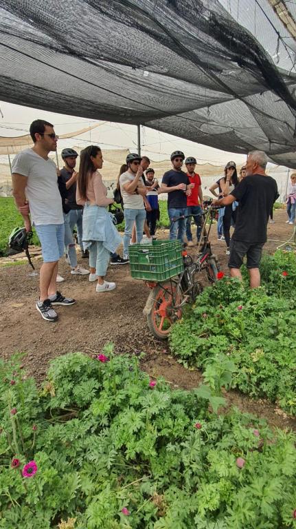 ענת בירן משרד עורכי דין ענת בירן משרד עורכי דין