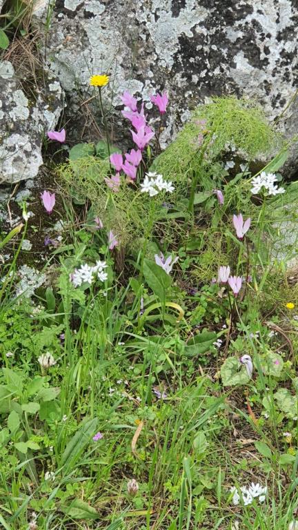 ענת בירן משרד עורכי דין ענת בירן משרד עורכי דין