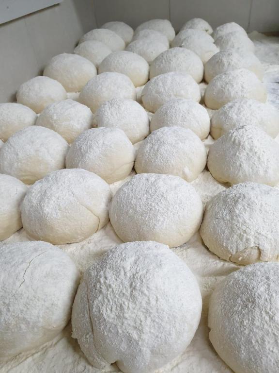 שיר לפיצה שיר לפיצה