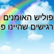 פוליש שיפוצים האומנים