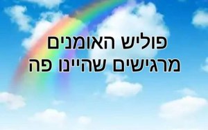 פוליש שיפוצים האומנים