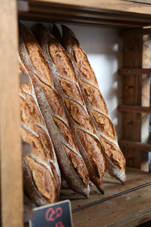 מרגוזה מאפיה משפחתית מרגוזה מאפיה משפחתית