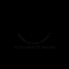 סוכנות ביטוח שמשי