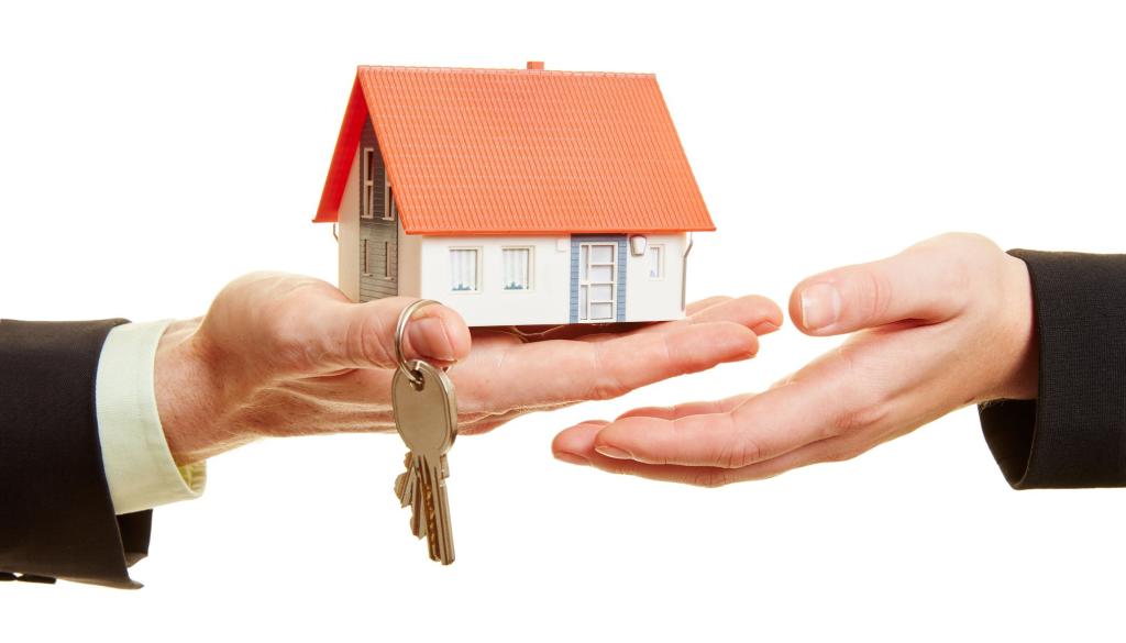 הורביץ אבי הורביץ אבי