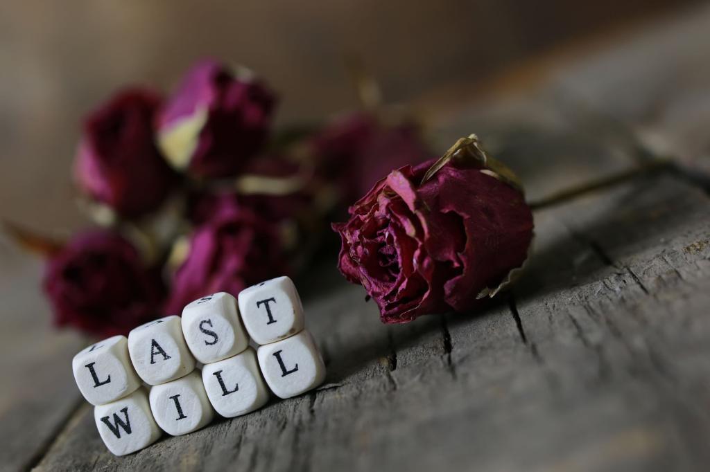 דן אדם דן אדם