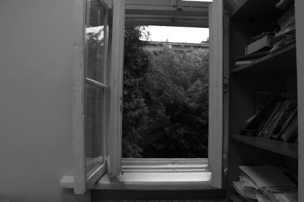 בוסתנאי כרמי בוסתנאי כרמי