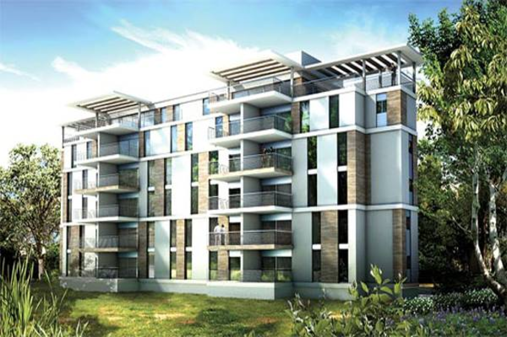 גלנצר חיים גלנצר חיים