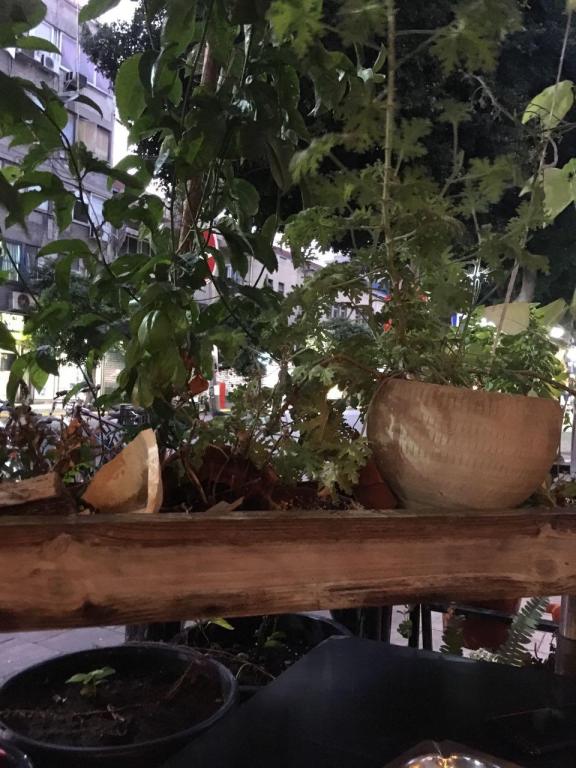 בתה וגריגה בתה וגריגה