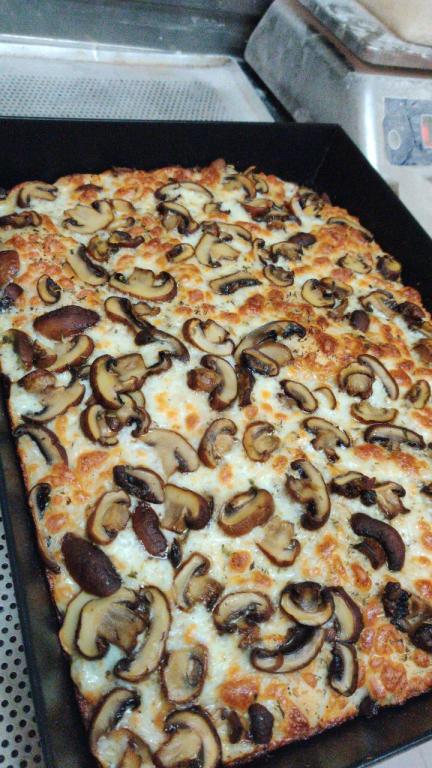 זומר בייקרי זומר בייקרי