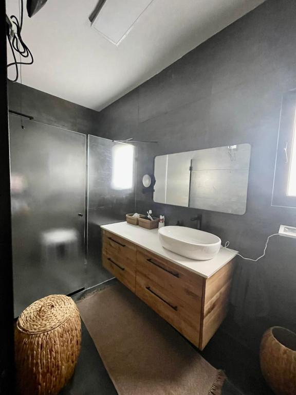 דיין ארז דיין ארז