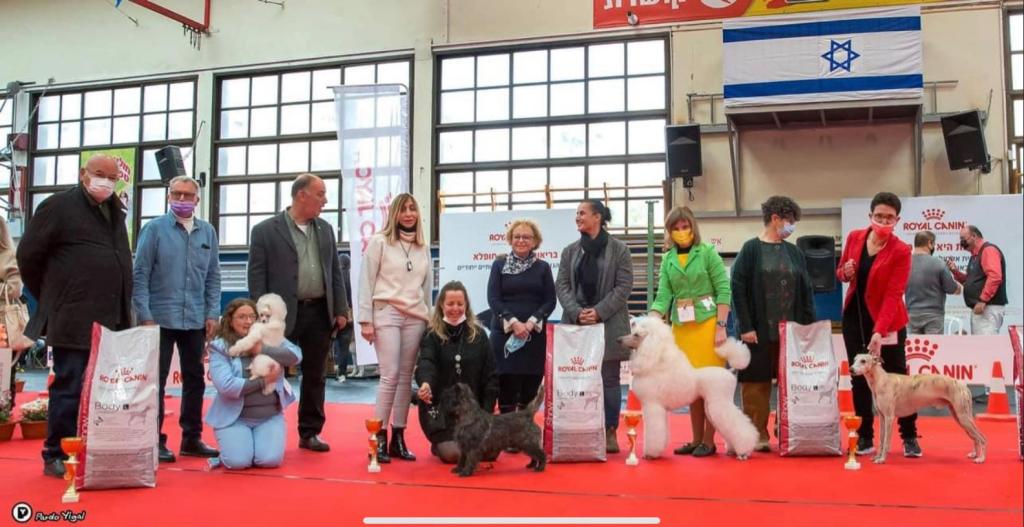 היכל הספורט קריית שרת חולון היכל הספורט קריית שרת חולון