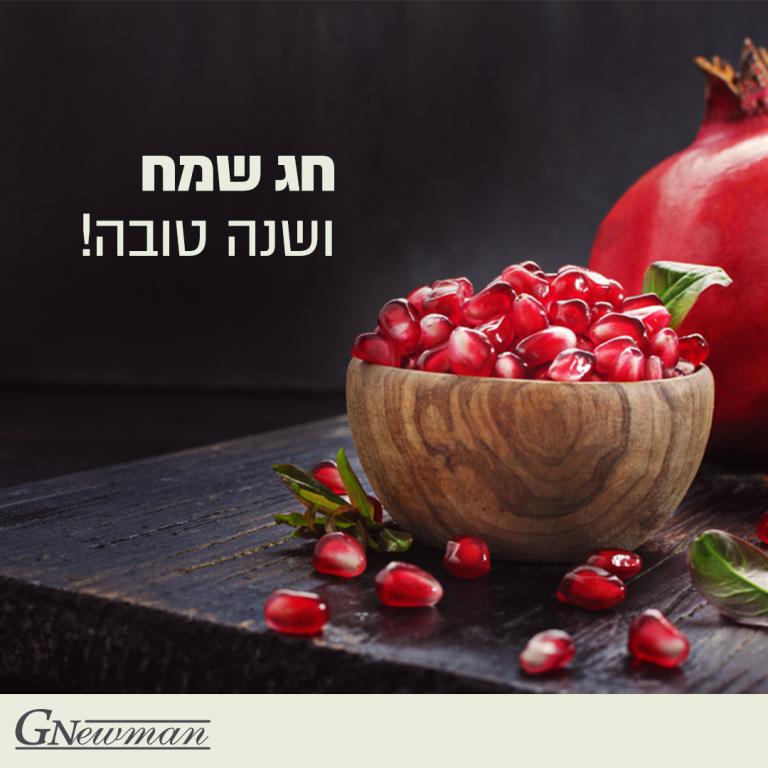 גיא ניומן משרד עורכי דין גיא ניומן משרד עורכי דין