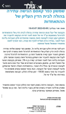 שי טל