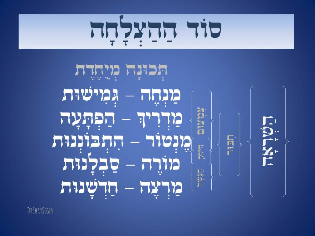 שגב שי שגב שי