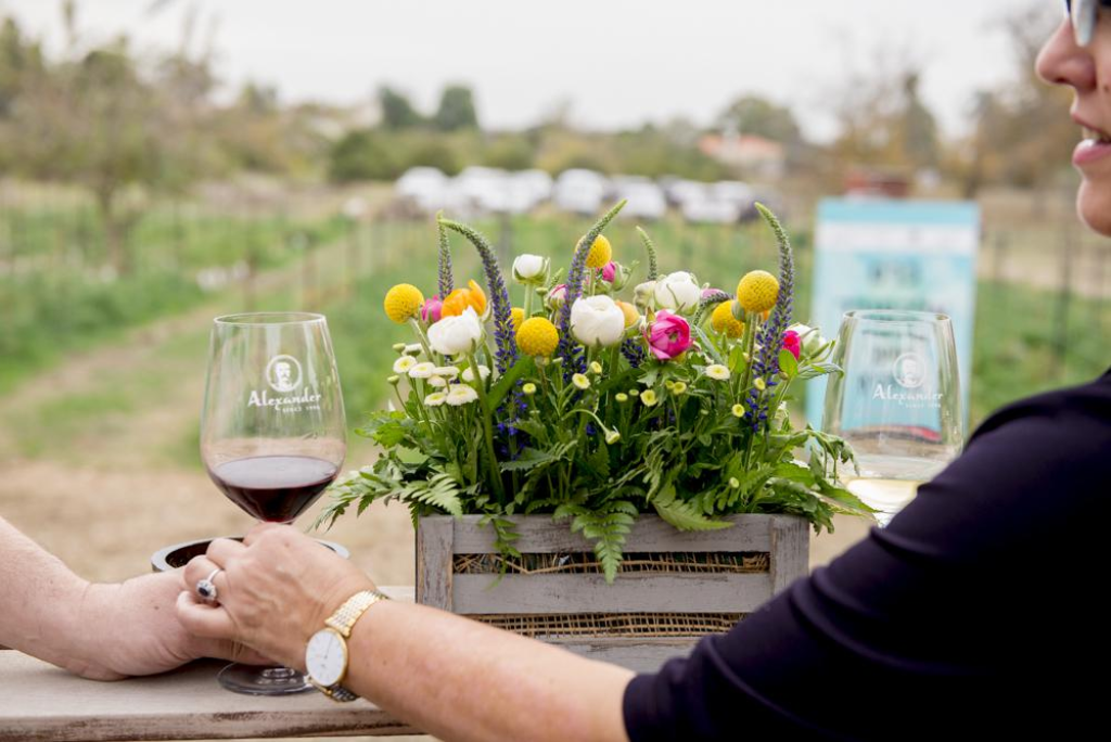 יקב אלכסנדר יקב אלכסנדר