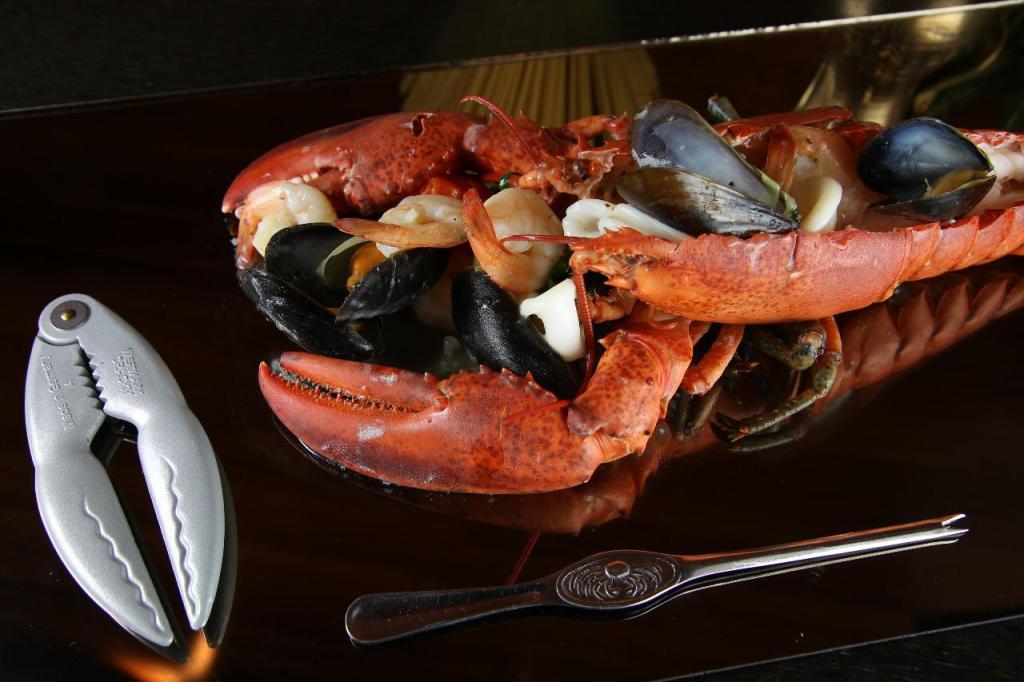 הסוכה הלבנה הסוכה הלבנה