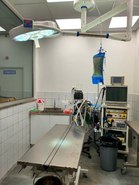 קניאס אספקה וטרינרית קניאס אספקה וטרינרית