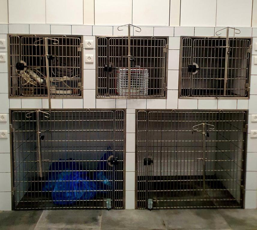 קניאס אספקה וטרינרית קניאס אספקה וטרינרית