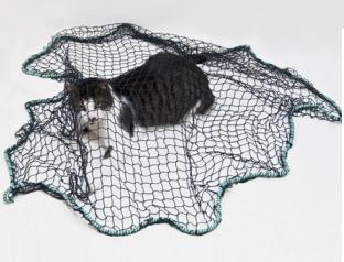 קניאס אספקה וטרינרית קניאס אספקה וטרינרית