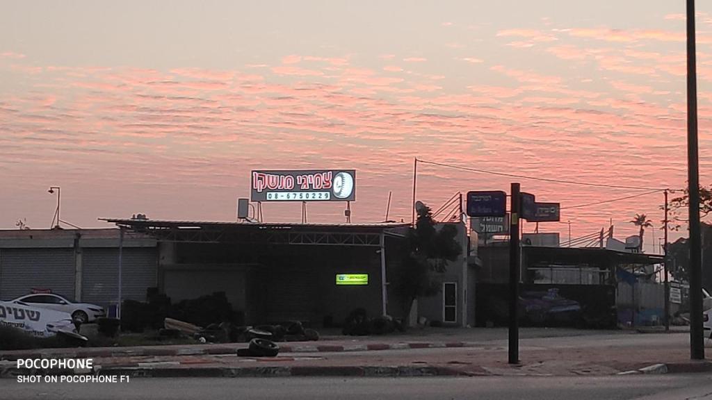 צמיגי מנשקו צמיגי מנשקו