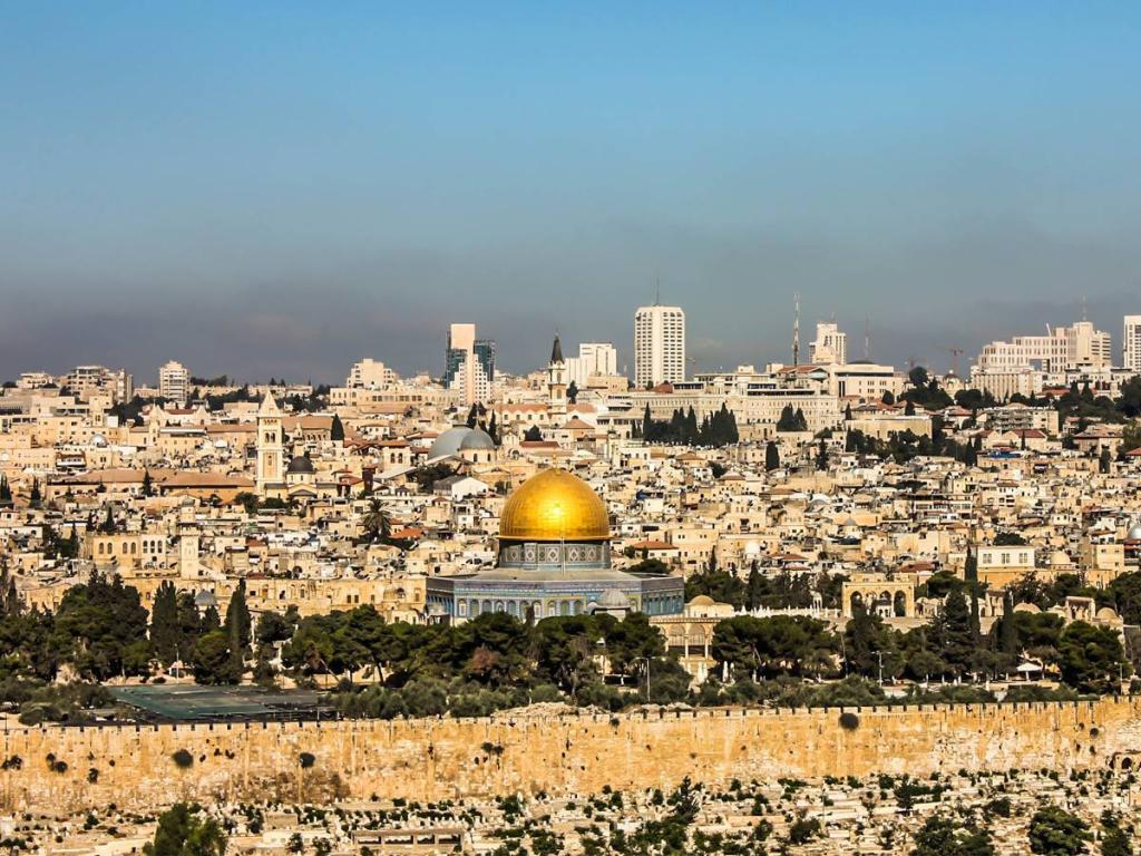 משה פרדס משה פרדס