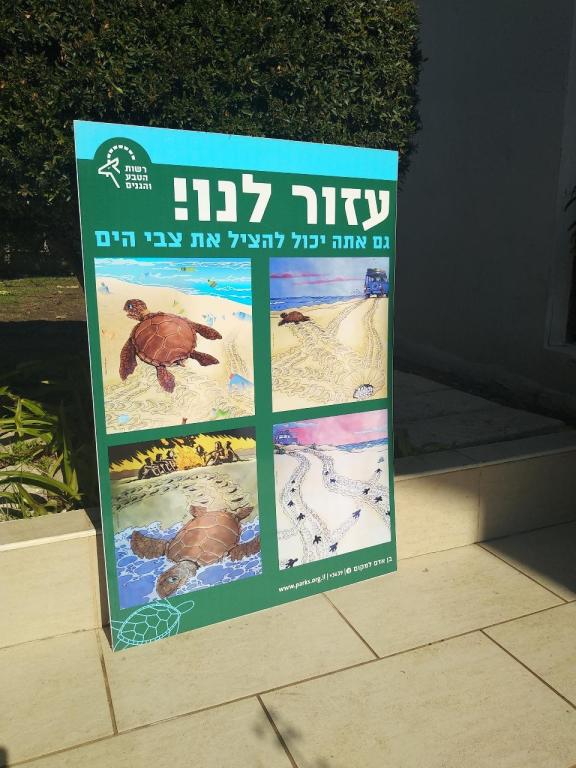 די קארד די קארד