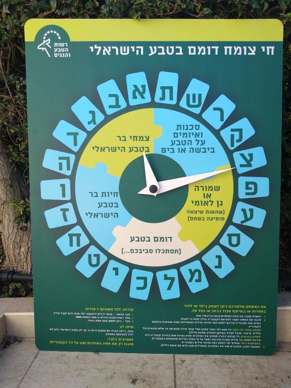 די קארד די קארד