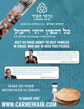 כרמי העיר