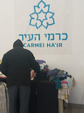כרמי העיר