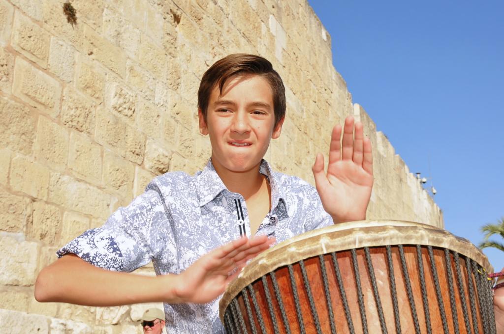 כינור דוד כינור דוד