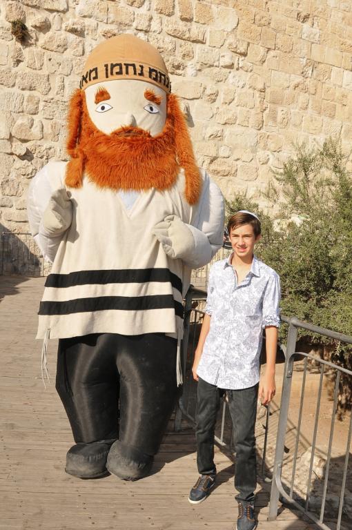 כינור דוד כינור דוד